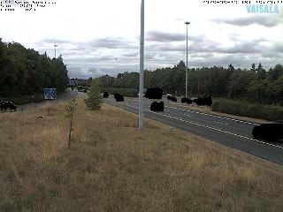 Fri 14 Aug 17:39